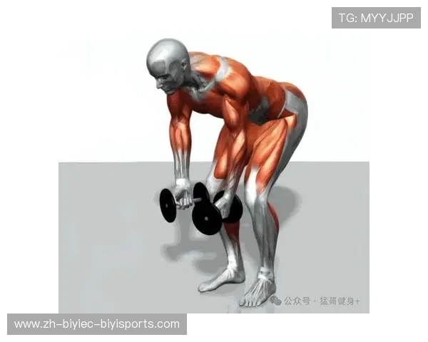 飞鸟扩胸训练器助力上肢力量全面提升