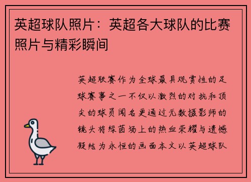 英超球队照片：英超各大球队的比赛照片与精彩瞬间